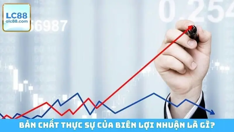 Bản chất thực sự của biên lợi nhuận là gì?