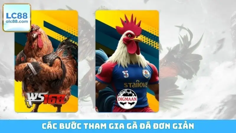 Các bước tham gia gà đá đơn giản