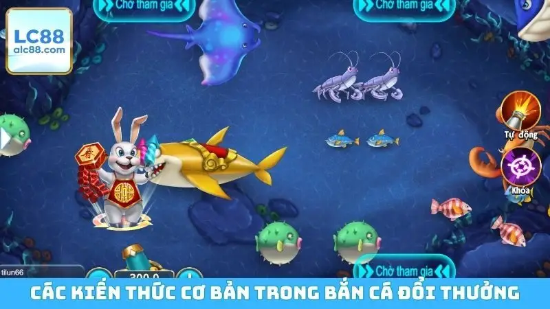Các kiến thức cơ bản trong bắn cá đổi thưởng