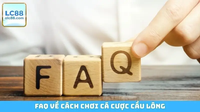 FAQ về cách chơi cá cược cầu lông