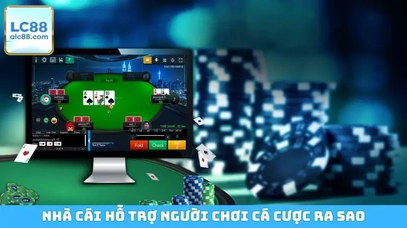 Nhà cái hỗ trợ người chơi cá cược ra sao